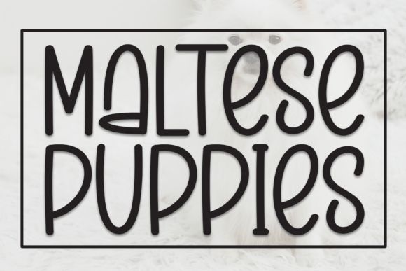 Maltese Puppies: A Warm, Playful Display Font for Editorial Design