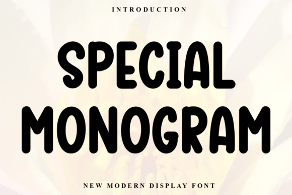 Special Monogram Font: Elegant Display Type for Handmade Brands